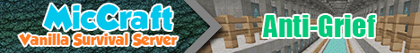 Miccraft banner