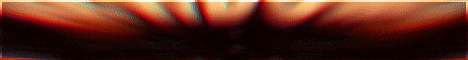 ElNidoSMP banner