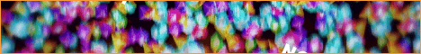 Survborn banner