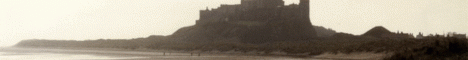 Real Survival banner
