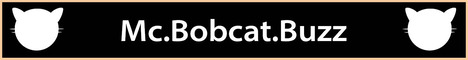 BobCat banner