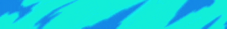 Zerw SMP banner