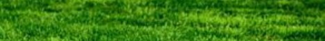 GrassMC banner