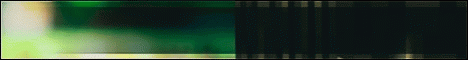 CasualSMP banner