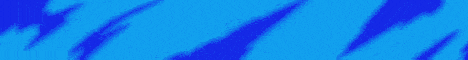 Anarchy Network banner