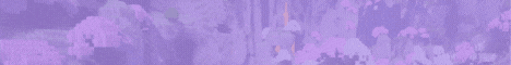 PokeSouls banner