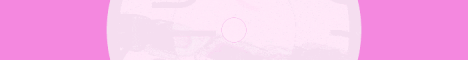 Perfectum SMP banner
