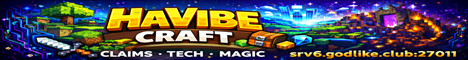 HaVibeCraft banner