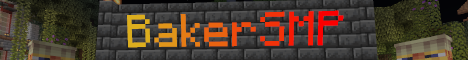 BakerSMP banner
