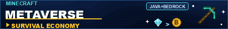 Minecraft Metaverse banner