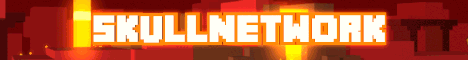 SkullNetwork banner