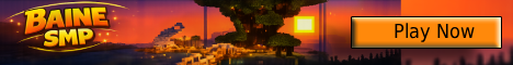 Baine SMP banner