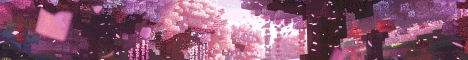 ExeosCraft banner