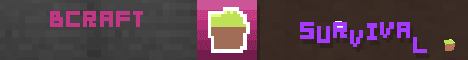 BCRAFT banner