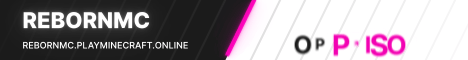 RebornMC banner