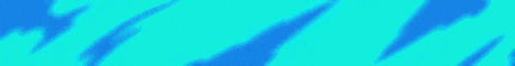 camellot banner