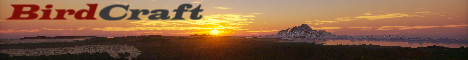 BirdCraft banner