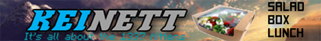 KeiNett Gaming banner
