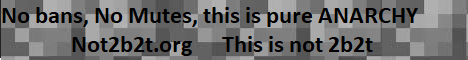 Not 2b2t banner