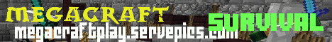 Mega Craft banner