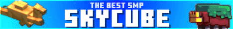 SkyCube banner