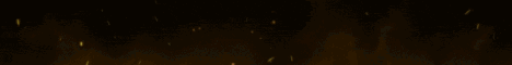 Seiky Network banner