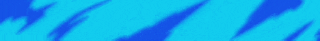 Panther Kingdom banner