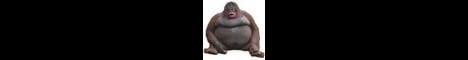 ChunkyMonkeysSMP banner