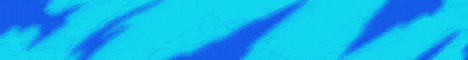 Hamster SMP banner