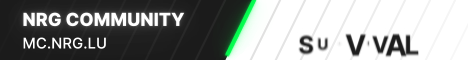 NRG.LU banner