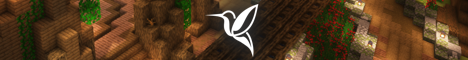 The Nest SMP banner