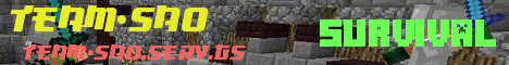 Team_SAO banner