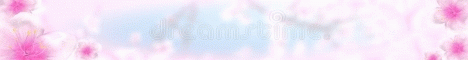 Onamazu Island SMP banner