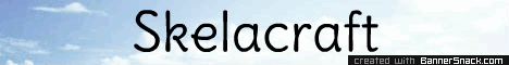 Skelacraft banner