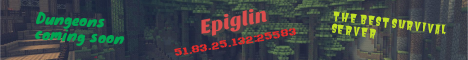 Epiglin banner