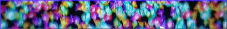 Pixelmon Stadium banner