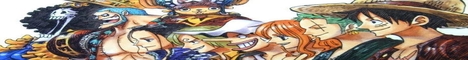 One Piece Seeker banner