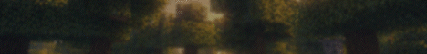 Quokka SMP banner