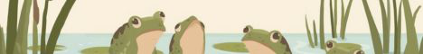 FroggieMC banner