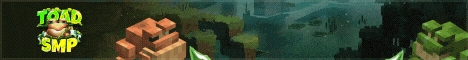 ToadSMP banner