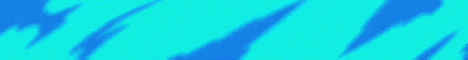 Magnum Network banner