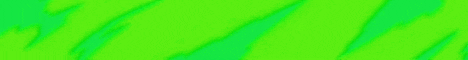 BejTupe NetWork banner