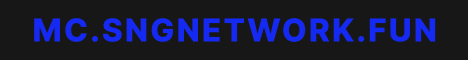 SNG Network banner