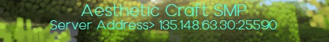 Aesthetic Craft SMP banner