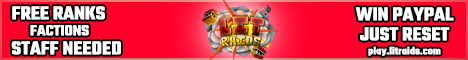 LitRaids banner