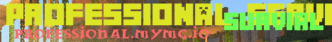 Professional Server banner