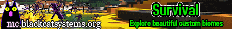 Black Cat X banner