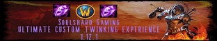 Soulshard-WoW 19 Twink banner