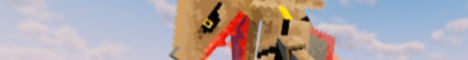 PokeRayou banner