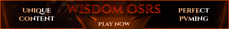 Wisdom banner
